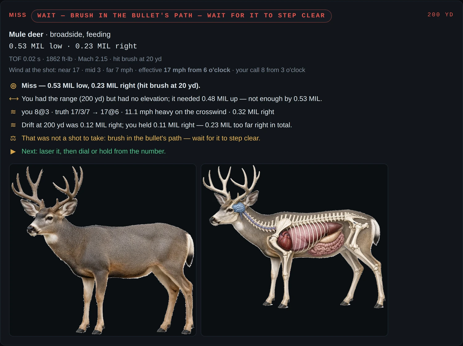 Actual app: shot card decomposing a miss into wind, angle and wobble, with a pelt and anatomy overlay of the animal.